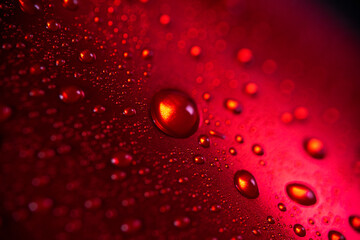 Red aluminum can with water drops or dew close-up macro shot