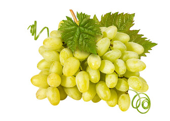 Grapes isolated on white background