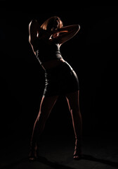 Fototapeta na wymiar Sexy female model, silhouette