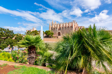 Fototapeta premium Cathedral of Santa Maria of Palma (La Seu) and palm trees, Palma de Mallorca, Spain