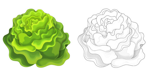 cartoon sketch scene vegetable lettuce salad illustration
