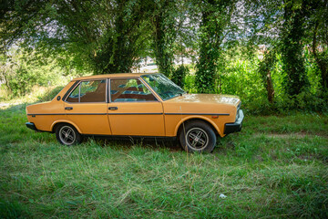 coche antiguo en un campo verde