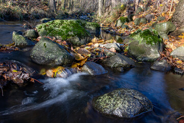 A water cascade with boulders in autumn creek with fallen leaves on a rocky shore. Water flows around the stones in the river.