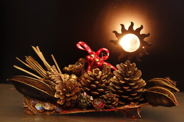 Organic and Colorful Miniatures, from the animal and plant world