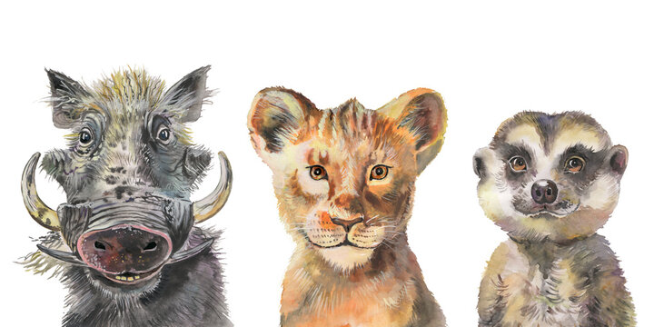 Watercolor illustration set of African animals. Lion king, meerkat, warthog pig