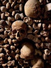 Crânes des catacombes à Paris