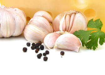 piece of cheese isolated on white background