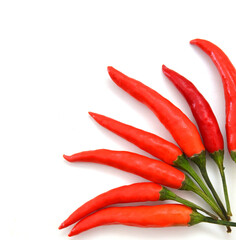 chili pepper isolated on a white background