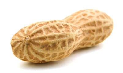Peanuts on white background