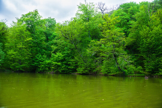 Parz Lich (Clear Lake) with forest, Armenia