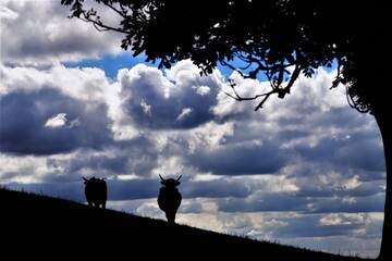soir à l'estive en Auvergne