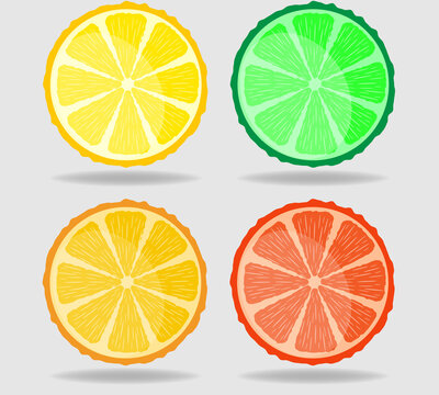 vector image of lemon, lime. orange, grapefruit, on a gray background with shadows