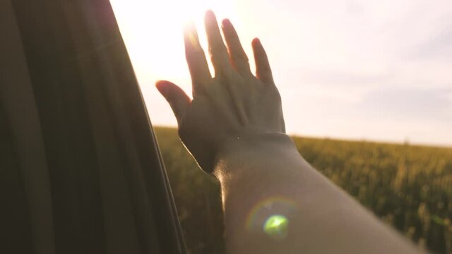 free woman travels by car catches sun and wind with her hand from car window. girl sits in front seat of car, reaches out to window and catches glare of setting sun. travel and adventure concept
