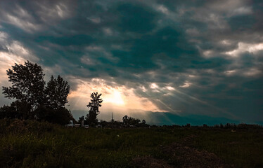 Rayos de sol