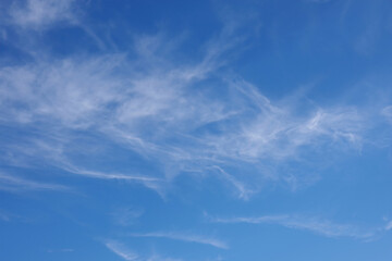 White clouds in a blue California winter sky with a slice of the moon barely visible shimmering through