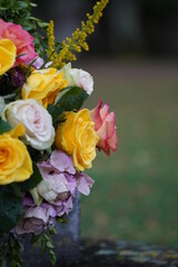 flowers after rain