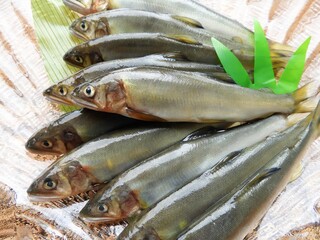 鮎