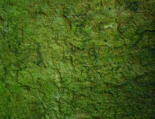 Fototapeta na wymiar Wet slate stone texture with green algae moss / sludge. Grunge natural rock texture background wallpaper.