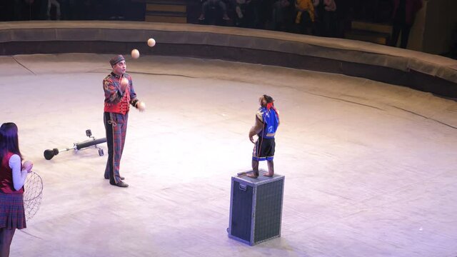 Performance of a monkey trainer in a circus