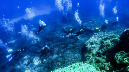 Fototapeta na wymiar Scubadiving Shipwreck Diving