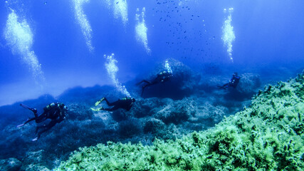 Scubadiving Shipwreck Diving