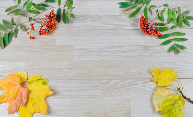 Autumn composition with yellow leaves and red berries on grey wooden board with empty space for...