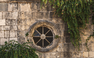 The wall of an old house is overgrown with grass and other greenery, the city of budva