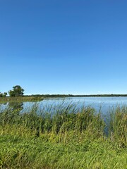 Scenic Minnesota Landscape in the Summer Time