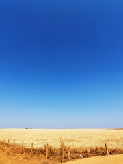 Obraz premium Horizonte azul