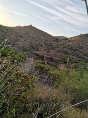  Cobweb in the middle of the field 2