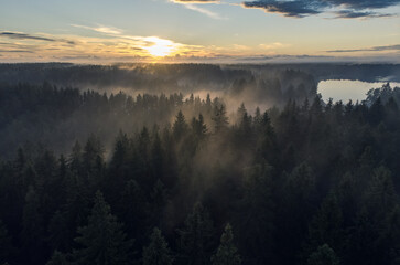 Fog over the forest sunset, aerial view