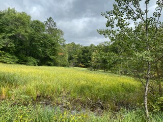 Scenic Minnesota Landscape in the Summer Time