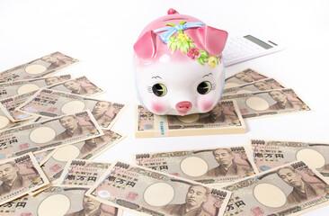 ブタの貯金箱と日本円の紙幣の集合写真