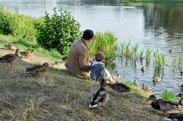 Father and son feeding ducks in the Park. Education and development of children. Outdoor recreation.