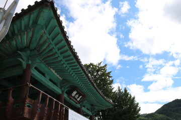 Fototapeta na wymiar chinese dragon on the roof