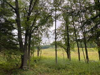 Scenic Minnesota Landscape in the Summer Time