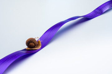 Life of a snail. A snail crawls along a lilac ribbon. Slow, purposeful movement. Life at its own...