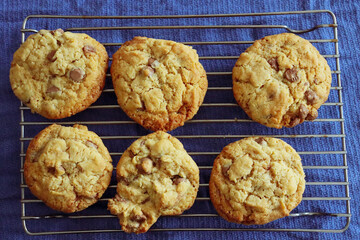 cookies on a tray