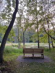 Scenic Minnesota Landscape in the Summer Time