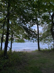 Scenic Minnesota Lake Side Landscape in the Summer Time