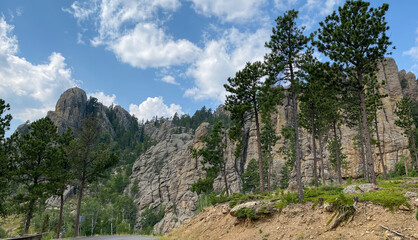 Fototapeta premium the needles in the black hills