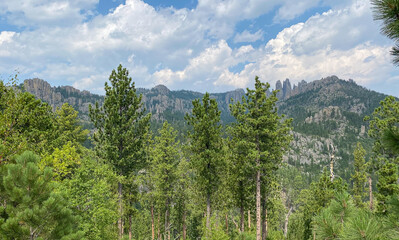 the needles in the black hills