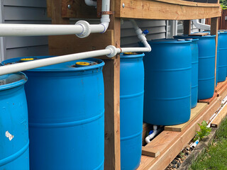 Blue Barrels for collecting rain water