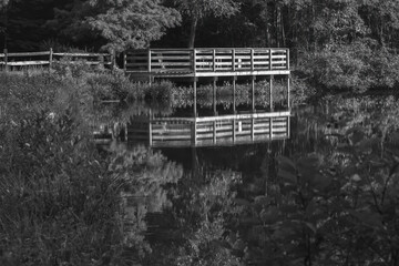 Black and white of a pond overlook with mirror-like reflection at Crowder Park in Apex, North Carolina.