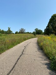 Scenic Minnesota Landscape in the Summer Time