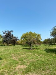 Scenic Minnesota Landscape in the Summer Time