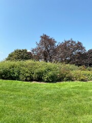 Scenic Minnesota Landscape in the Summer Time