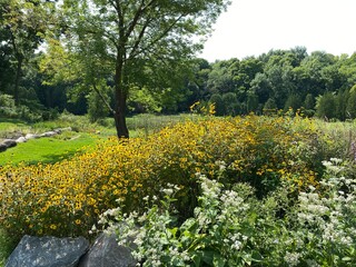 Scenic Minnesota Landscape in the Summer Time