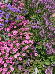 Scenic Minnesota Landscape in the Summer Time