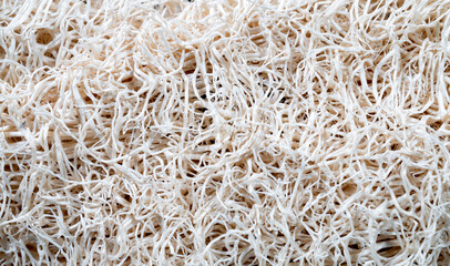 Sponge Fiber Close Up Abstract Macro Photograph